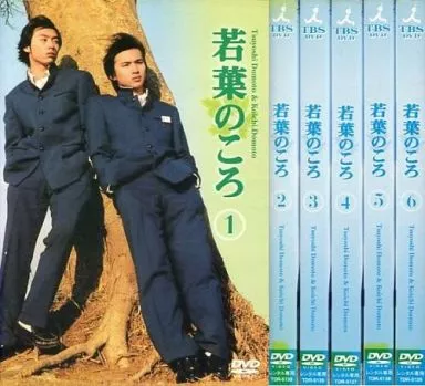 若葉のころ DVD 全巻セット 堂本剛 堂本光一 KinKi Kids