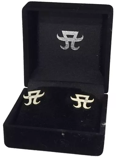 【公式】数量限定生産、浜崎あゆみ　Aロゴ ピアス アクセサリー 浜崎あゆみ Aマーク ピアス アクセサリー シルバー 限定受注商品