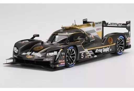 ミニカー　1/18 キャデラック DPi-V.R IMSA デイトナ24時間 2022 JDC モータースポーツ #5 「Top Speedシリーズ」 [TS0430]