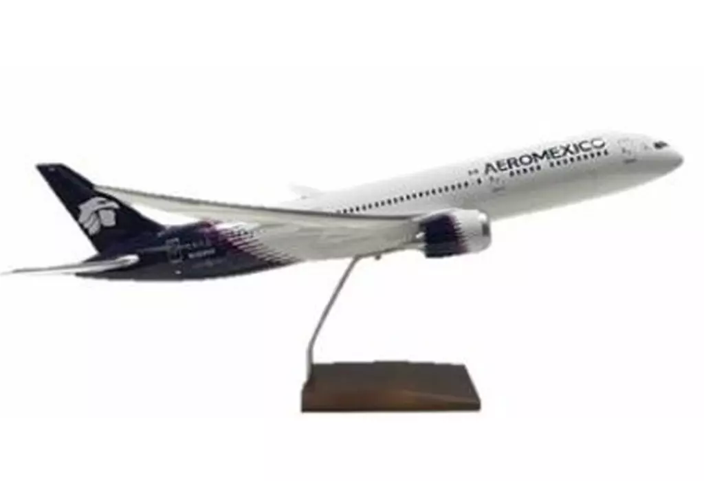 1/100 アエロメヒコ航空 787-9 [SKG78100]