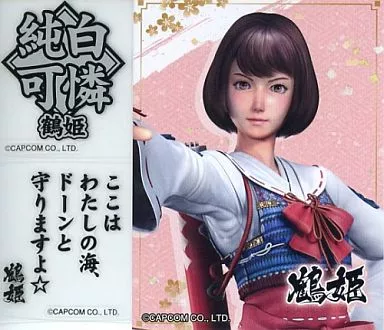 鶴姫ページ 広瀬 仁美さん『ニンジャホワイト／鶴姫（忍者戦隊カクレンジャー）』