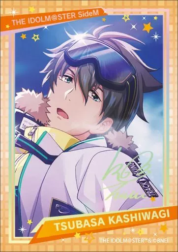 柏木翼(レア) 「アイドルマスター SideM キラステコレクション 第2弾」