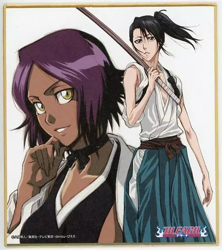 BLEACH　ジャンプフェスタ　ぴえろ40周年　ミニ色紙　四楓院夜一＆朽木白哉 駿河屋 -<中古>四楓院夜一＆朽木白哉 「BLEACH-ブリーチ- ミニ色紙
