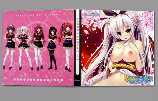 [単品] 幡上芽以 描き下ろし色紙バインダー 「C91 はるるみなもに! グッズセット」 同梱品