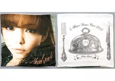 【即購入ok!!】安室奈美恵 ドームツアー 2012 クッション2種セット 駿河屋 -<中古>安室奈美恵 クッションB 「namie amuro 5 Major