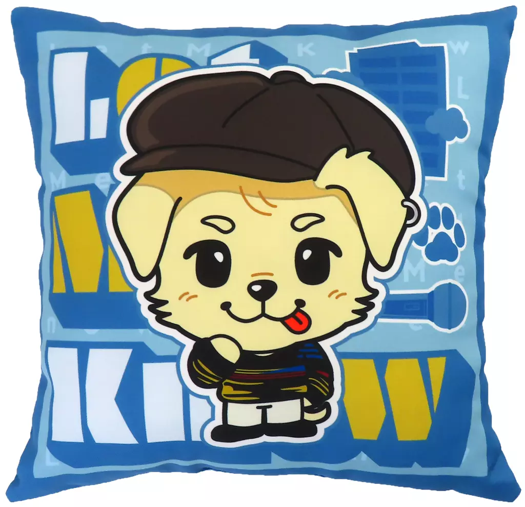 岩田剛典　クッション　レア 岩田剛典 1st Single「korekara」Release記念オフィシャルグッズ受注