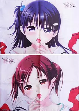 たぬきそふと 新春萌初夢 BOX 2016 姪少女 倉山沙耶 抱き枕カバー 駿河屋 -【アダルト】<中古>倉山亜耶＆沙耶 枕カバー「PCソフト