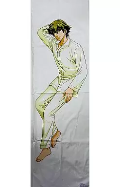 【期間限定値下げ】ときめきメモリアルGS 葉月珪 抱き枕＆抱き枕カバーセット 駿河屋 -<中古>葉月珪 抱き枕カバー「ときめきメモリアルGirl's Side