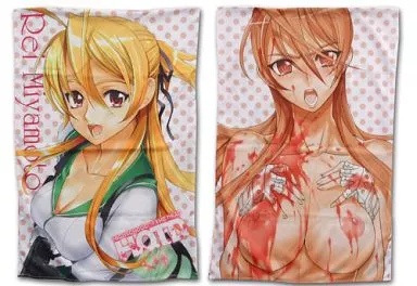 [単品] 宮本麗 BITCH⇔CUTE寝返り枕カバー 「学園黙示録 HIGHSCHOOL OF THE DEAD SECRET BOX」 同梱品