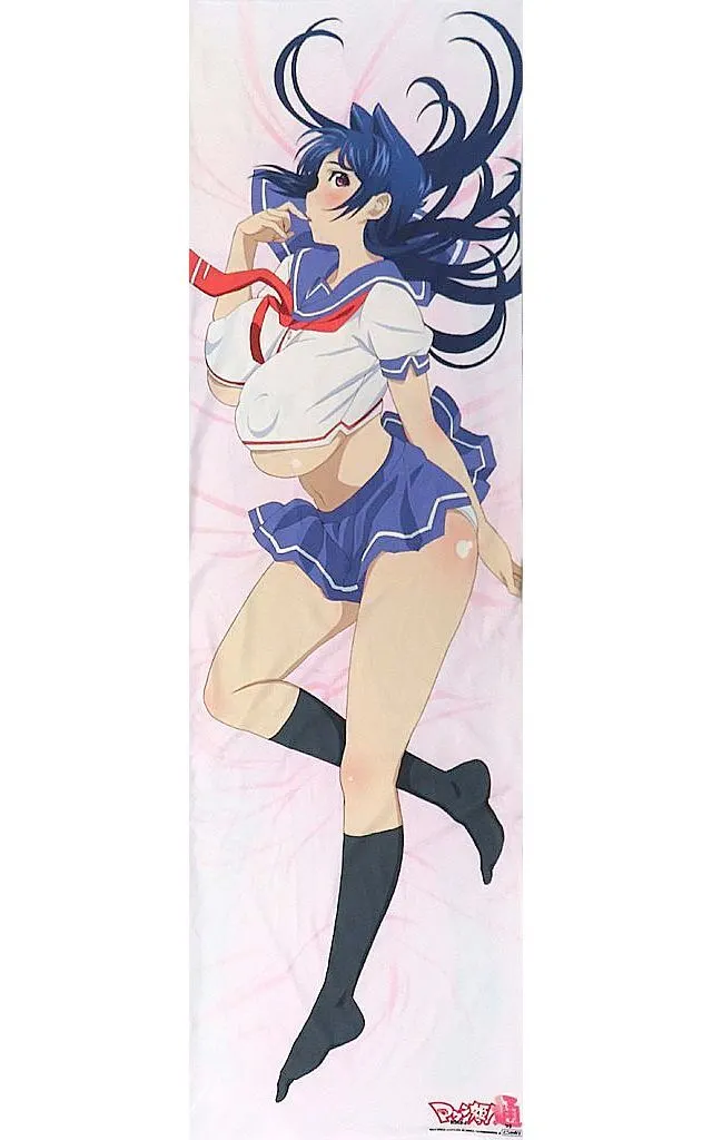 二条秋 描き下ろしおねだり秋先生両面抱き枕カバー 「マケン姫っ!通」