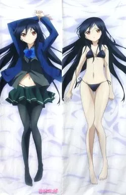 駿河屋 -<中古>黒雪姫(アニメ版) 抱き枕カバー 「アクセル