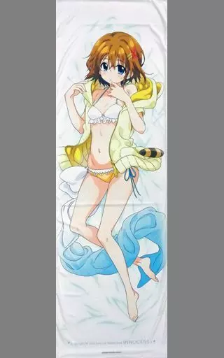 抱き枕カバー・シーツ(キャラクター)　八神はやて はやての水着でロマンス抱き枕カバー 「魔法少女リリカルなのは INNOCENT」 C91グッズ
