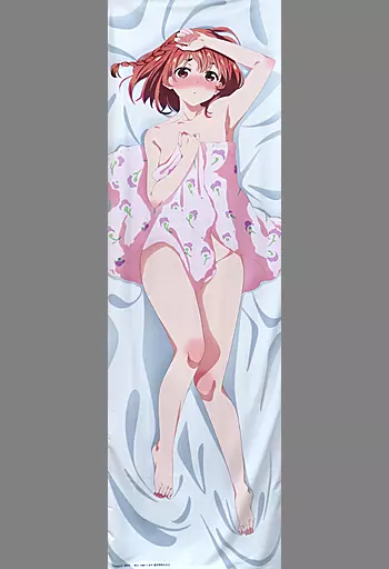 駿河屋 -<中古>桜沢墨 本命彼女抱き枕カバー Vol.2(他社販路限定特典 