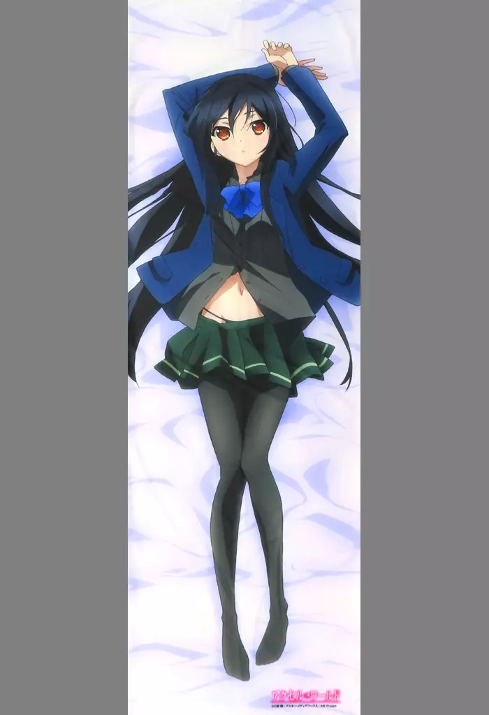 抱き枕カバー・シーツ　[破損品] 黒雪姫(アニメ版) 抱き枕カバー 「アクセル・ワールド」 C82グッズ