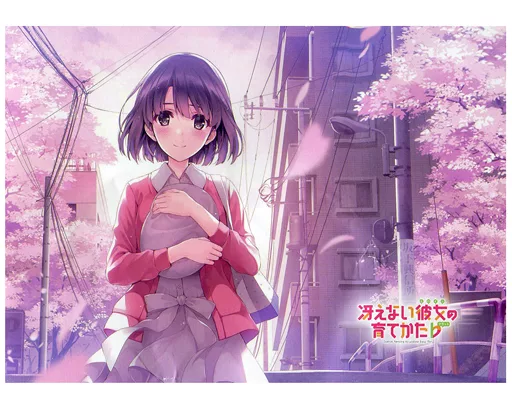 駿河屋 -<中古>キービジュアル(加藤恵) プレミアムブランケット 「冴え