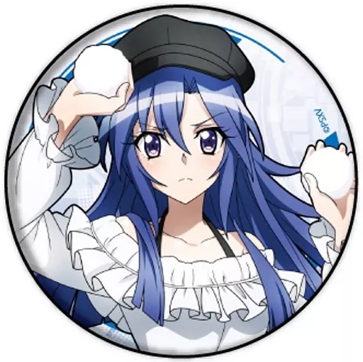 戦姫絶唱シンフォギア XV 風鳴翼 缶バッジ 11個セット 戦姫絶唱シンフォギア XV 風鳴翼 缶バッジ 11個セット