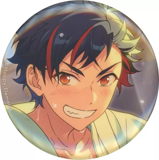 あんスタ 南雲鉄虎 テーマ缶バッジ 1個 南雲鉄虎 TRIP アルバムシリーズ 缶バッジ あんスタ - メルカリ