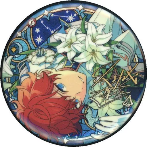 あんスタ 天城一彩 星之所向 缶バッジ 天城一彩 あんスタ コレクション 缶バッジ 2025 Feb Idol 10個 天城一