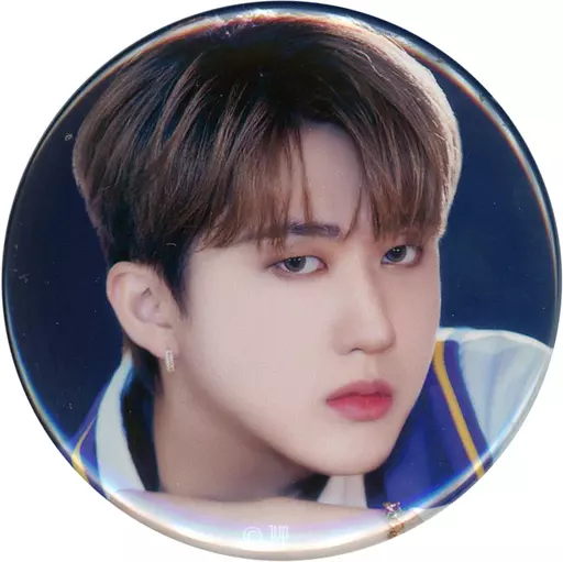 駿河屋 - 【買取】チャンビン Stray Kids 缶バッジ 「STRAY KIDS×SKZOO