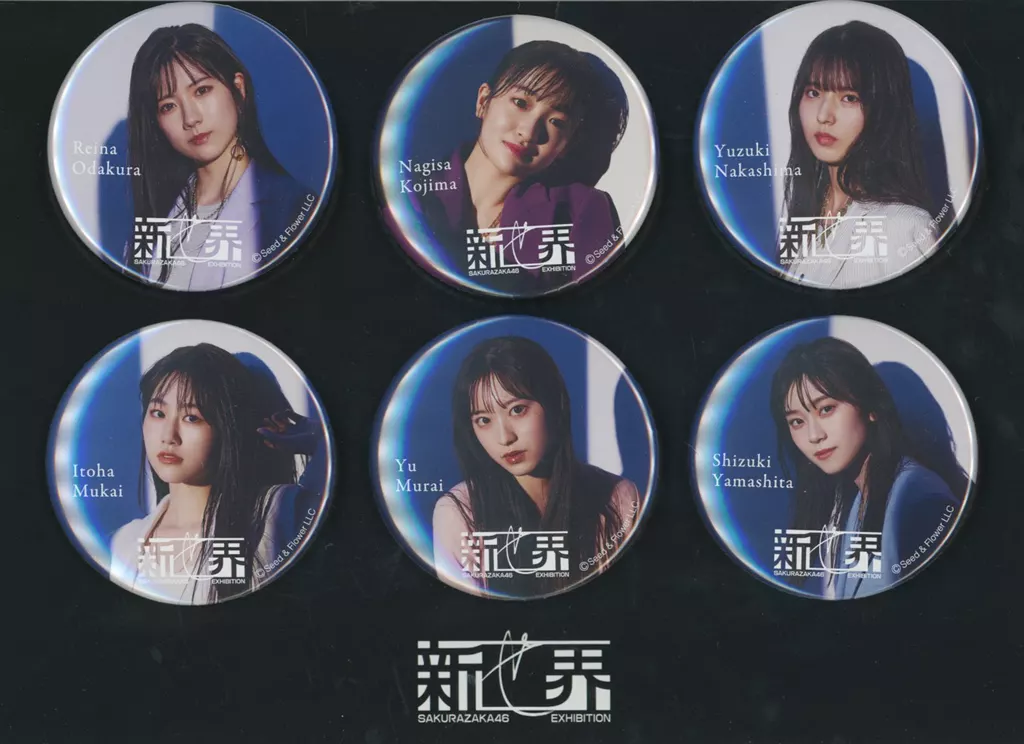 櫻坂46 ランダム缶バッジコンプリートセット3期生A(6個組) 「櫻坂46展『新せ界』」