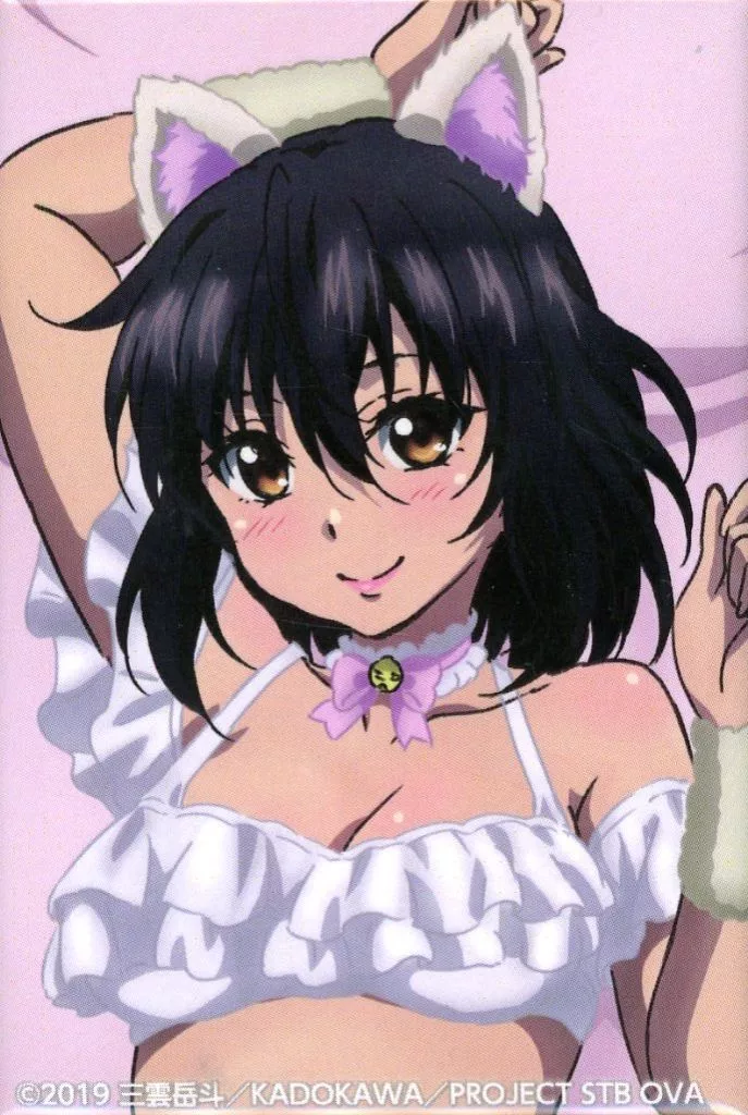 R ストライク・ザ・ブラッド くじ引き堂 スクエア缶バッジ 姫柊雪菜 他 まとめ 駿河屋 -<中古>姫柊雪菜 白猫Ver. どこでもスクエア缶バッジ