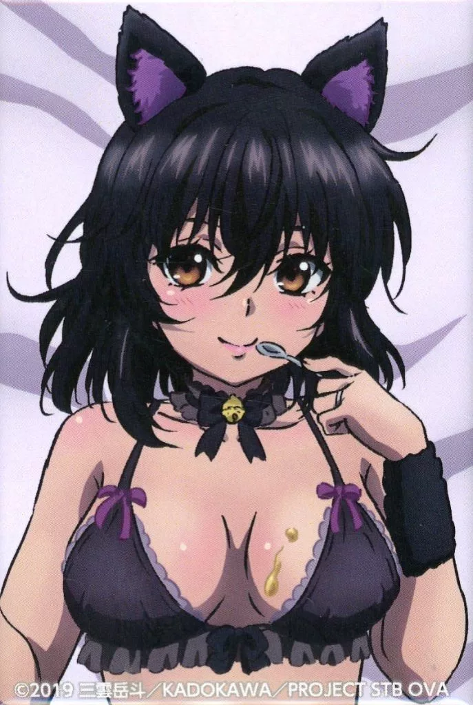 R ストライク・ザ・ブラッド くじ引き堂 スクエア缶バッジ 姫柊雪菜 他 まとめ 駿河屋 -<中古>姫柊雪菜 黒猫Ver. どこでもスクエア缶バッジ