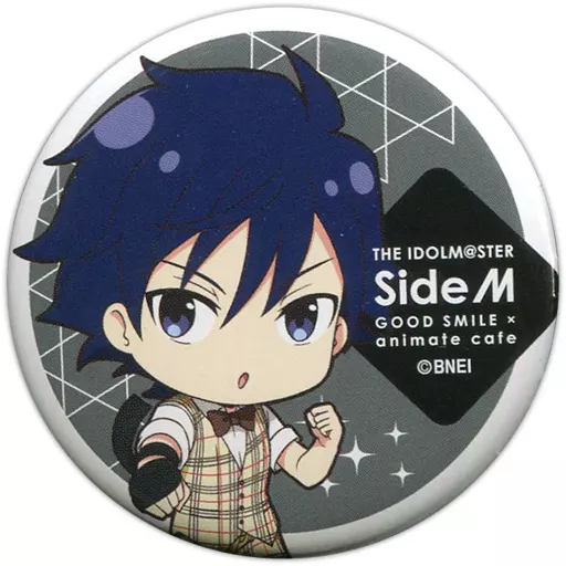 大河タケル 「アイドルマスター SideM×GOOD SMILE×animatecafe トレーディング缶バッジ アニバーサリーver. Bグループ」