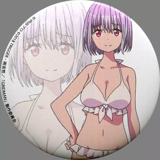 SSSS.GRIDMAN 新条アカネ 缶バッジ アカネスペシャル 水着 駿河屋 -<中古>新条アカネ(水着ver.) 缶バッジ 「SSSS.GRIDMAN