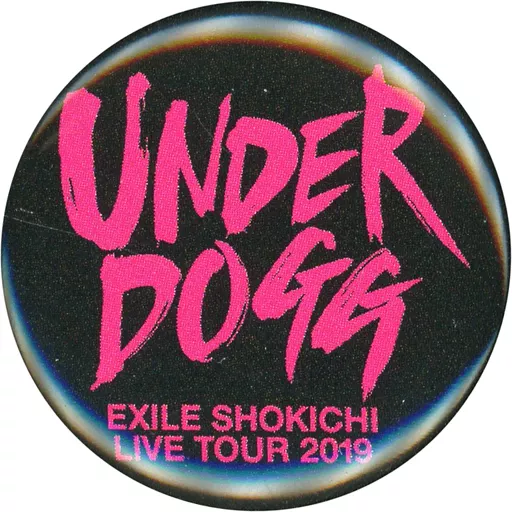 優れた品質 駿河屋 -<中古>EXILE SHOKICHI(UNDERDOGGツアーロゴ/ブラック シューズ