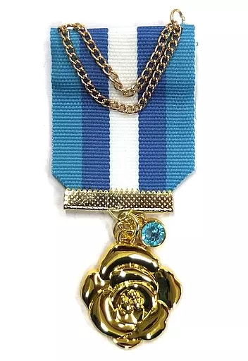 バンドリ 氷川紗夜 ブローチ BanG Dream! Special☆LIVE Girls Band Party! 2020 記念ブローチ