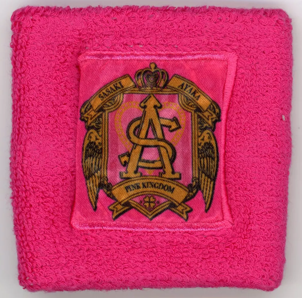 ももいろクローバーZのピンク色のリストバンド Amazon.co.jp: ももいろ