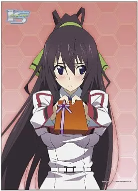 IS〈インフィニット・ストラトス〉/篠ノ之箒▲バスタオル・タペストリー 駿河屋 -<中古>篠ノ之箒 Ver.2 B2タペストリー 「IS