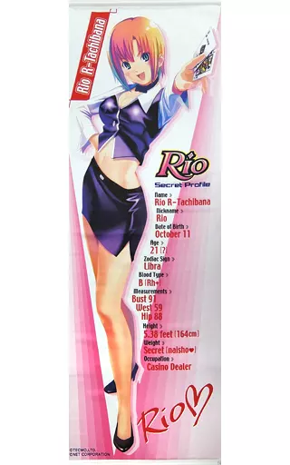 タペストリー　リオ 等身大タペストリー 「Rio de Carnival」