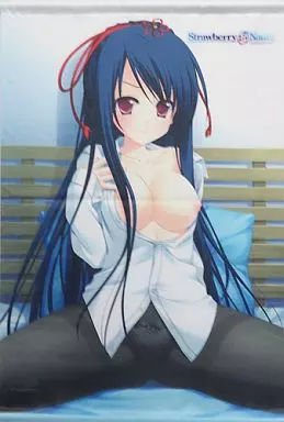 八束愛姫 描きおろしB2 「PCソフト Strawberry Nauts-ストロベリーノーツ-」 グッドウィル購入特典