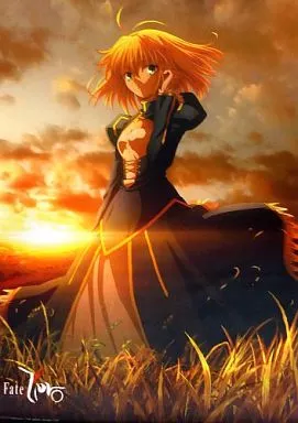 【未使用】 Fate / Zero Blu-ray 特典 タペストリー 未使用】 Fate / Zero Blu-ray 特典 タペストリー - メルカリ