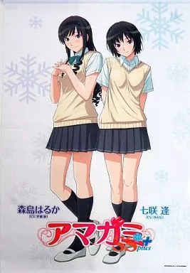 駿河屋 -<中古>森島はるか＆七咲逢 オリジナルB3タペストリー 