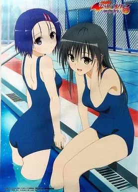 駿河屋 -<中古>西連寺春菜＆古手川唯 タペストリー 「DVD/Blu