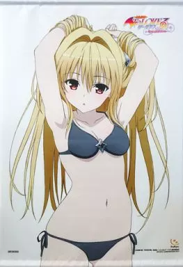 To LOVEる ダークネス バトルエクスタシー 限定版 タペストリー 駿河屋 -<中古>金色の闇 描き下ろしB2タペストリー 「PS Vita