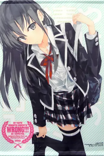 やはり俺の青春ラブコメはまちがっている　雪ノ下雪乃　タペストリー　おかしのいえ Amazon.co.jp: やはり俺の青春ラブコメはまちがっている。続 雪ノ下