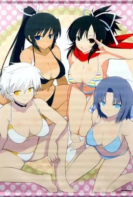 集合(水着) オリジナルB2 「閃乱カグラシリーズ 公式イラスト集 -少女達の軌跡- ebtenDXパック」 同梱品_image