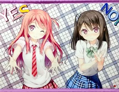 駿河屋 -<中古>YES!NO!(カントク) B2タペストリー（タペストリー）