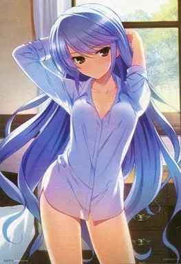 駿河屋 -<中古>風見一姫 描き下ろしタペストリー 「グリザイアの果実 