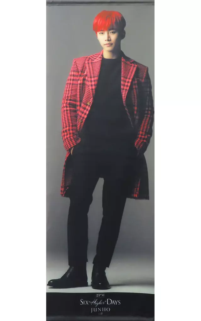 2pm six higher days　等身大タペストリー　ジュノ　JUNHO 駿河屋 -<中古>ジュノ タペストリー 「2PM Six “HIGHER” Days