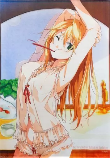 Dies irae ルサルカ パジャマタペストリー Amazon.co.jp: Dies irae タペストリー ルサルカ ロートス