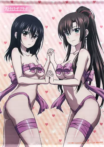 [単品] 雪菜＆紗矢華 B2 「ストライク・ザ・ブラッド ぽふぽふネックピロー B2付限定版」 同梱特典