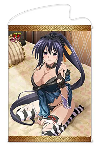 タペストリー　姫島朱乃 B2タペストリー 「ハイスクールD×D BorN」
