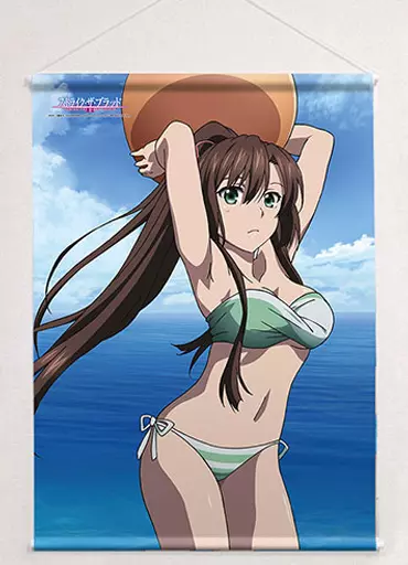 ストライク・ザ・ブラッド タペストリー タペストリー[紗矢華セット] 5本セット ストライク・ザ・ブラッド タペストリー タペストリー[紗矢華セット] 5