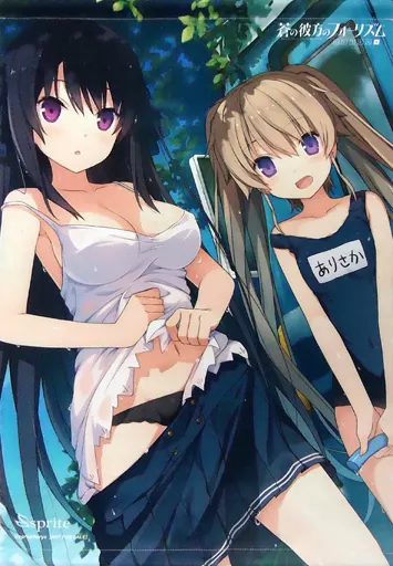 蒼の彼方のフォーリズム 有坂真白＆鳶沢みさき B2タペストリー switch 駿河屋 -<中古>有坂真白＆鳶沢みさき 描き下ろしB2Wスエード