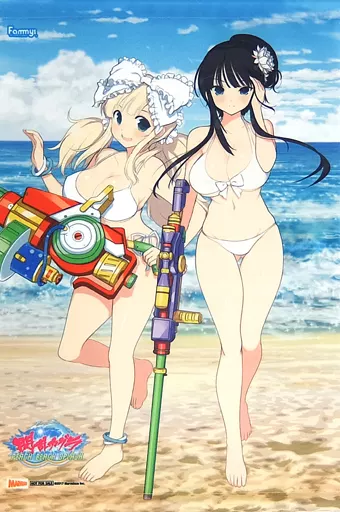 閃乱カグラ　詠　斑鳩　タペストリー 駿河屋 -<中古>斑鳩＆詠 オリジナルA3タペストリー 「PS4ソフト 閃乱