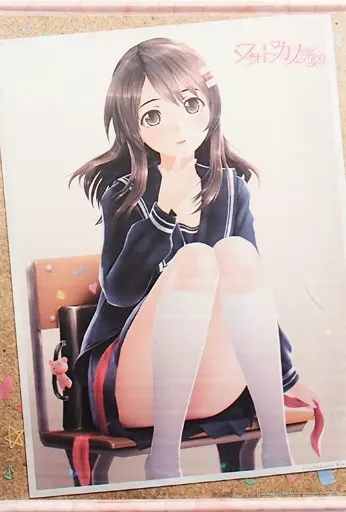 駿河屋 -<中古>新見遙佳(制服) B2タペストリー 「PS Vitaソフト 